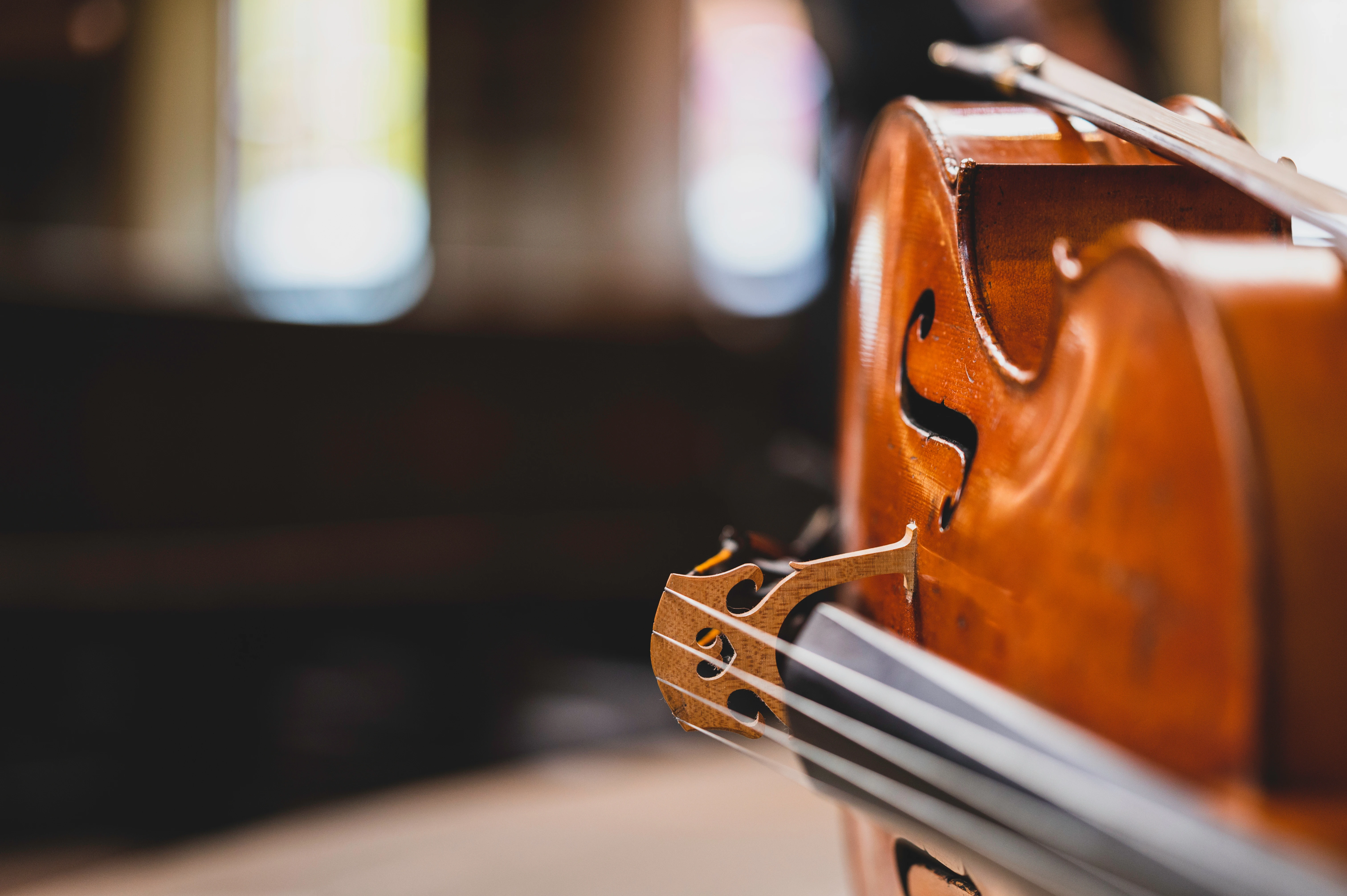 Rachat d’instruments à cordes frottées